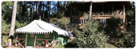 Camp Potters Hill, Shimla